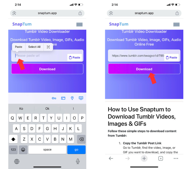Paste the Link into Snaptum
