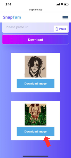 Click the Download Button